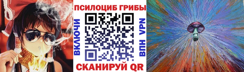 Галлюциногенные грибы Psilocybine cubensis  Воркута 
